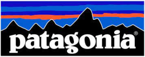 Patagonia logo example